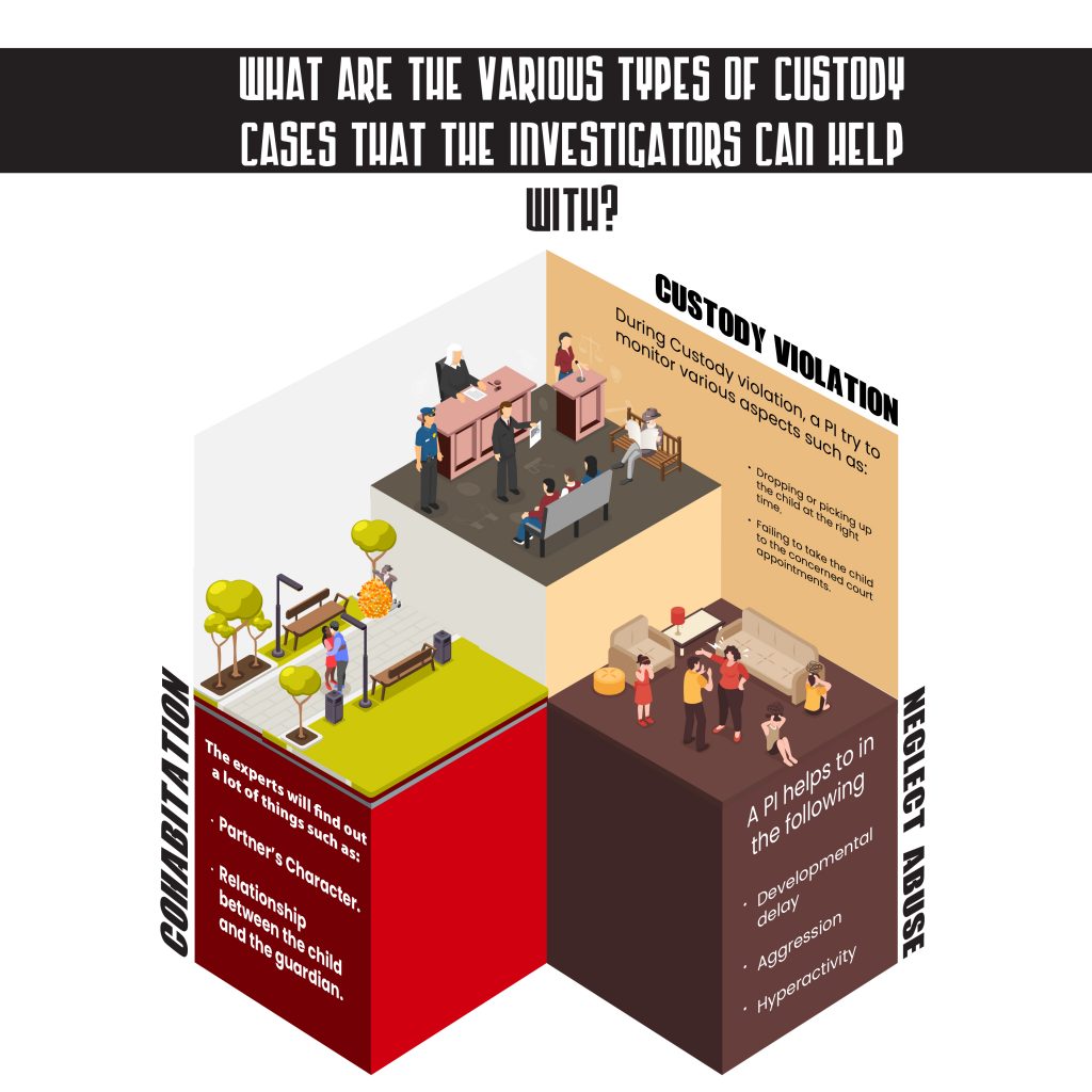 What are the various types of custody cases that the investigators can help with?